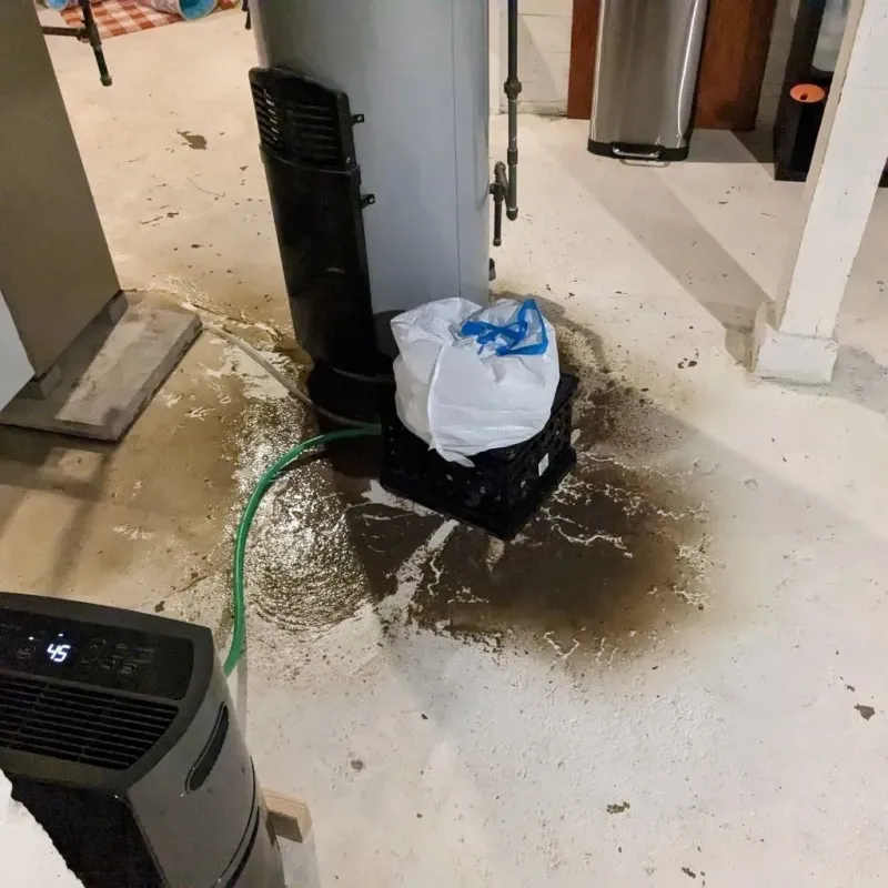 Sewage Backup Cleanup Service in Clio, AL